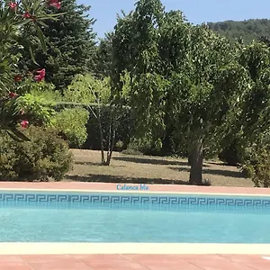  Appartement Calanca Blu : Grand